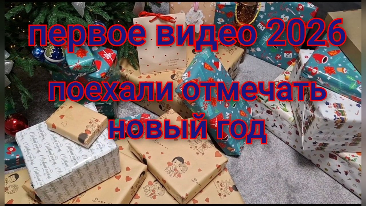 Обзор новогодних подарков/Мы в дороге/Едем в Тюмень/Встетили косулю. смотреть онлайн