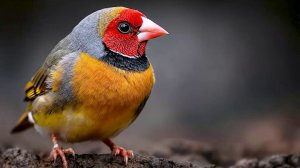 Дикий Мир нашей планеты [ai]