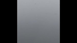 Ловля карпа зимой в декабре