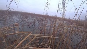 НА КАТЕРЕ, В КОТОРОМ ХОЧЕТСЯ ЖИТЬ! ОХОТА СРЕДИ ЛЬДОВ, ЧУТЬ РЫБАЛКИ И ПЛОВ ИЗ ДИКОЙ УТКИ. ВОЗВРАЩЕНИЕ