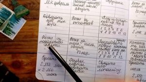 Вступление в Бинго 2026