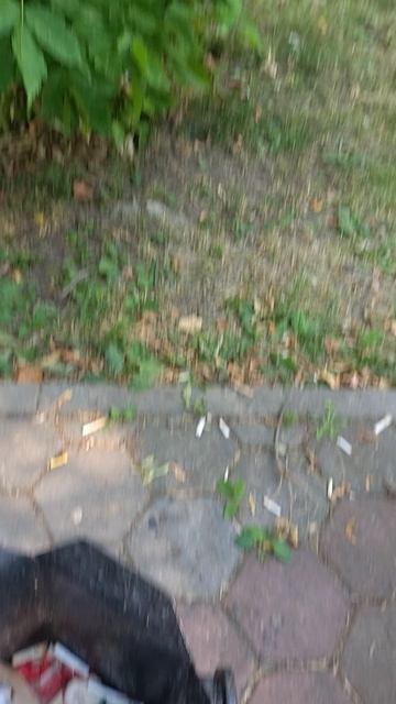 №551	Комсомольский проспект. 15 августа 2025 г., 15:27:37 VID_20250815_152723421