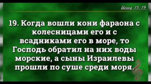 15 ГЛАВА КНИГИ ИСХОД