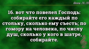 16 ГЛАВА КНИГИ ИСХОД