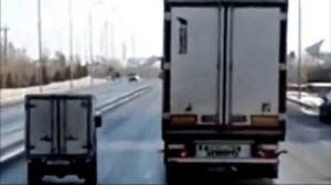 Наверное отец с сыном