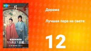 Лучшая пара на свете 12 серия