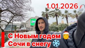 Сочи 1 января 2026 год. Есть живые?) Аномальный Новый год, все в снегу !