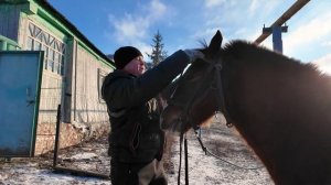 Удивительная история о фермерской жизни электрогазосварщика ЛГОКа Сергея Мигунова