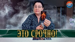 СРОЧНО! ЧТО ТЫ СЕЙЧАС ДОЛЖНА ЗНАТЬ О НЕМ? | Гадание таро расклад