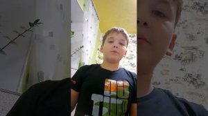 с новым годом