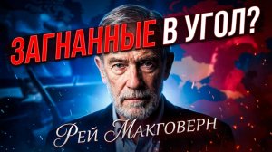 🕵️♂️⚠️ Рэй МакГоверн | А был ли у Путина другой путь?