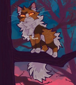 Все подарки на 2026 год и от семьи