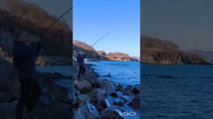 Рыбалка с берега Владивосток. Сезон минтая продолжается. Более подробная информация в описании👇