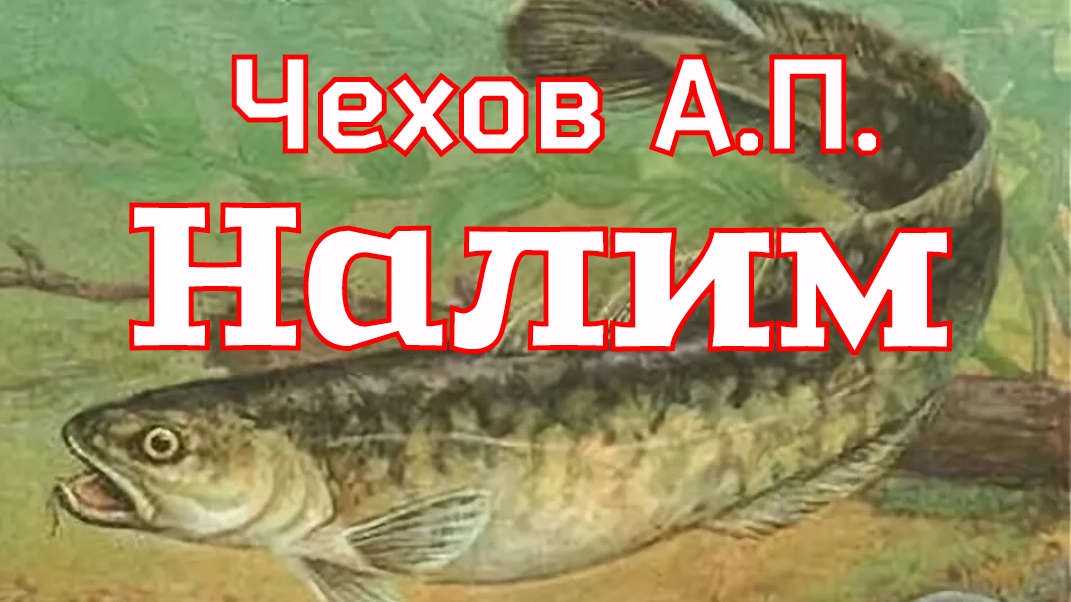 Рассказ «Налим» Чехов А.П. (1885г.) смотреть онлайн