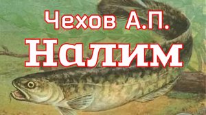 Рассказ «Налим» Чехов А.П. (1885г.)