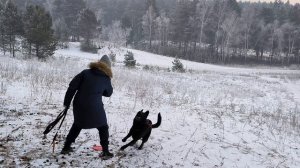 Новогодний выезд в зимний лес
