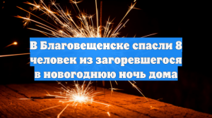 В Благовещенске спасли 8 человек из загоревшегося в новогоднюю ночь дома