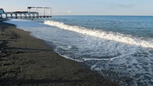 ВИДЕО  ПВН  ББ   (1486)