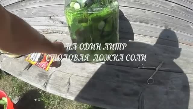 Как солить огурцы! Рецепт от Дяди Сани! смотреть онлайн