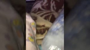 78895591962__05EBA2C7-96B1-461F-A37F-0C3083E15D2C