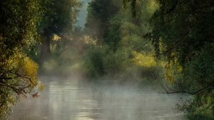 Лена Василек и Ярослав Сумишевский - Над речкой туман