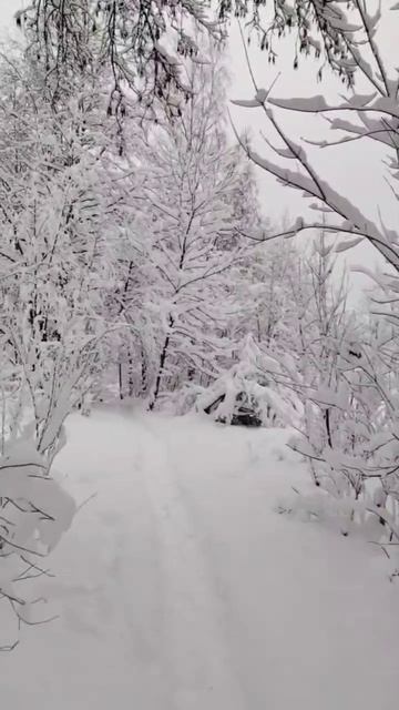 Русская зима. смотреть онлайн