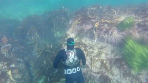 Наши в Находке 4. Осьминоги