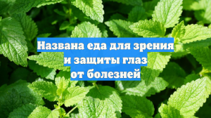 Названа еда для зрения и защиты глаз от болезней