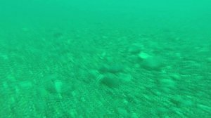 Нырок на 13 метров