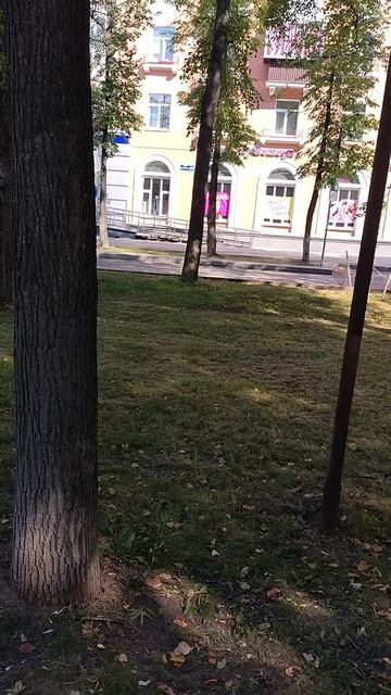 №561	Комсомольский проспект. 15 августа 2025 г., 15:33:41 VID_20250815_153316186