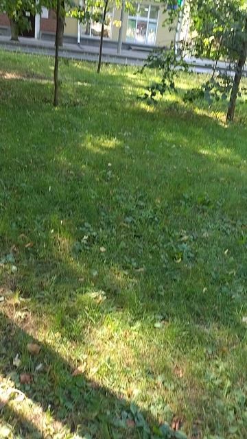 №553	Комсомольский проспект. 15 августа 2025 г., 15:28:32 VID_20250815_152820821