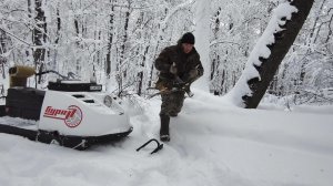 ЛОСИ УВЕЛИ СОБАК .../// ЗАВЕРШАЮ ДЕЛА 2025 ГОДА ///ПРОВЕРИЛ ТАЁЖНУЮ ЗЕМЛЯНКУ ///ЗИМНЯЯ СКАЗКА.