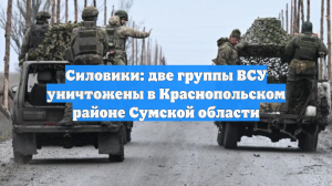 Силовики: две группы ВСУ уничтожены в Краснопольском районе Сумской области