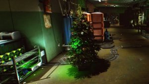 🎄🎄🎄С НОВЫМ ГОДОМ | EFT | ARC Raiders | CS