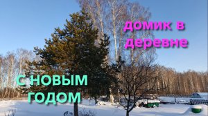 Жизнь в деревне Праздничный стол для кур-несушек