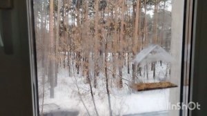 83).31.12.25-01.01.26.гг.Моя городская жизнь ,видио за два дня то есть старый новый год и новый год.