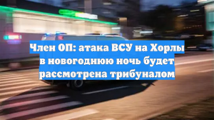 Член ОП: атака ВСУ на Хорлы в новогоднюю ночь будет рассмотрена трибуналом