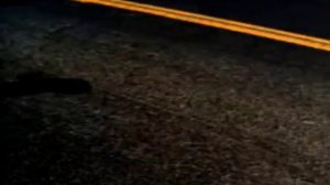 The Cardigans - My Favourite Game