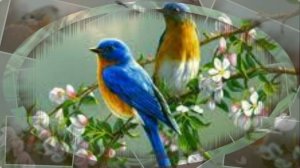 Ветра стон и птица плачет