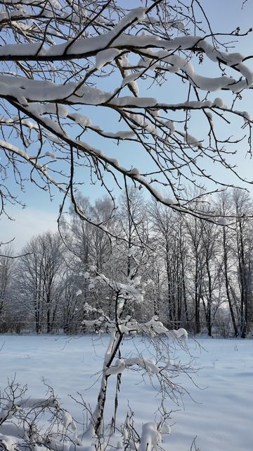 Первое утро Нового года 2026 смотреть онлайн
