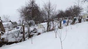 ЗАБРОШЕННЫЙ УЧАСТОК ЗИМОЙ, ЧТО С НИМ СТАЛО