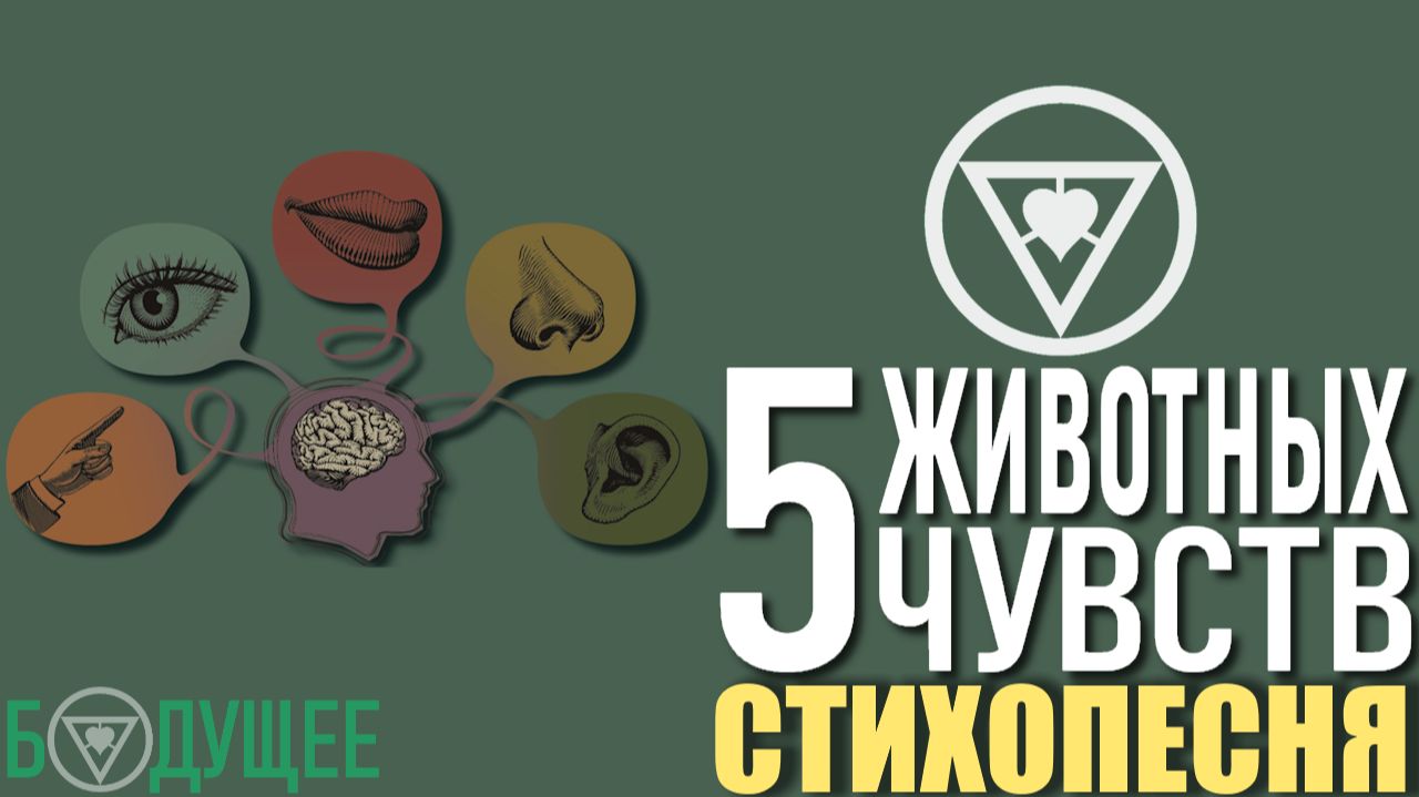 5 животных чувств (стихопесня) [БУДУЩЕЕ]