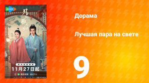 Лучшая пара на свете 9 серия