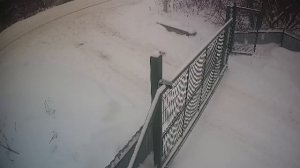 LIVE: channel74055310