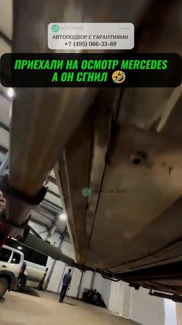 СВЕЖИЙ MERCEDES ХУЖЕ КИТАЙЦЕВ? 😳  #автоподбор #автоприколы #подборавто #перекупы #автоюмор смотреть онлайн