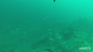 Поворотный_2021