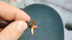 Рыбалка на карася зимой! Один в палатке на льду. Озеро Чаны. #рыбалка #озерочаны #карась (360p)