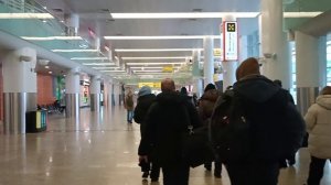 Шереметьево терминал Д