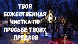 ТВОЯ БОЖЕСТВЕННАЯ ЧИСТКА ПО ПРОСЬБЕ ТВОИХ ПРЕДКОВ