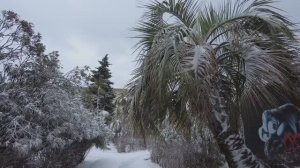 Сочи.Снегопад